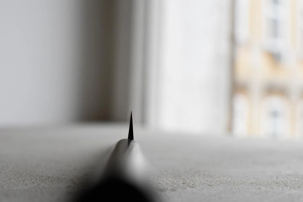 Tsunehisa Yanagiba 240mm (9.5") 5 Tsunehisa Yanagiba 240mm (9.5") - Image 3