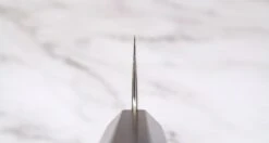 Hayabusa Gyuto VG-10 Tsuchime Damascus Ebony 240mm (9.4") -Sharpedge Shop Hayabusa Gyuto VG 10 Tsuchime Damascus Ebony 240 mm 420103161676 3