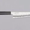 Nigara Gyuto VG-10 Damascus Tsuchime 210mm (8.2") 2 Nigara Gyuto VG-10 Damascus Tsuchime 210mm (8.2") -Sharpedge Shop NigaraGyutoVG 10DamascusTsuchime210mm 420103121586 1