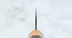 Saji Gyuto VG-10 Gold RWO 210mm (8.3") -Sharpedge Shop SajiGyutoVG 10GoldRWO210mm 410103121519 3