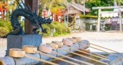 Senzo Dawn Limited Edition Gyuto SG2 Damascus 200mm (7.9") -Sharpedge Shop SenzoDawnLimitedEdition 180107071566 180103111565 21 9b436255 3635 4870 b8c4 ff1adcccebae