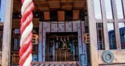 Senzo Dawn Limited Edition Gyuto SG2 Damascus 200mm (7.9") -Sharpedge Shop SenzoDawnLimitedEdition 180107071566 180103111565 23 149af282 d70f 46f0 ba90 e9f837a0ce1b