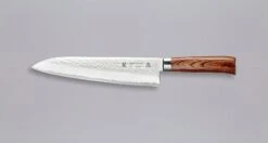 Tamahagane "TSUBAME" Gyuto 240mm (9.5")