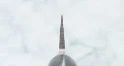 Tojiro DP Yo Deba 240mm (9.5") -Sharpedge Shop TojiroDPYo Deba240mm 010101161538 3