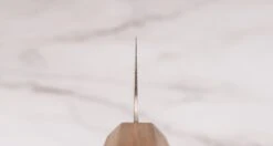 Tojiro Kiritsuke Gyuto Reppu SG2 210mm (8.3") -Sharpedge Shop TojiroKiritsukeGyutoReppuSG2210mm 010103121615 3