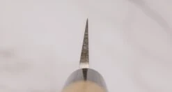 Tojiro Yanagi-Sashimi Zen 210mm (8.3") 7 Tojiro Yanagi-Sashimi Zen 210mm (8.3") -Sharpedge Shop TojiroYanagi SashimiZen210mm 010113121352 5